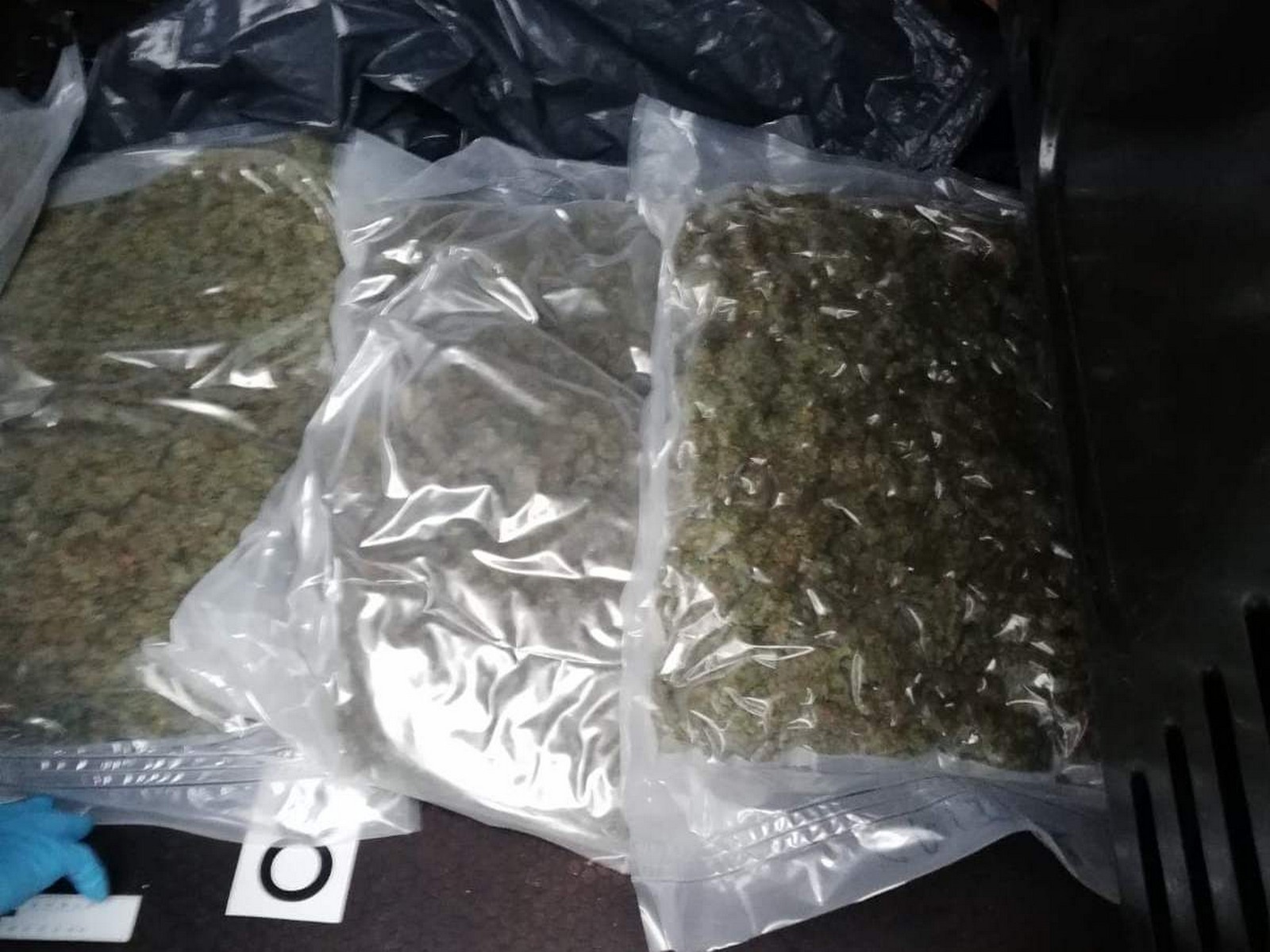 Wielkopolska Policja 