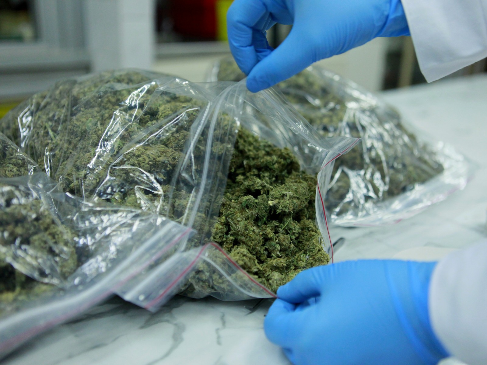 176 kilogramów marihuany  - Wielkopolska Policja 