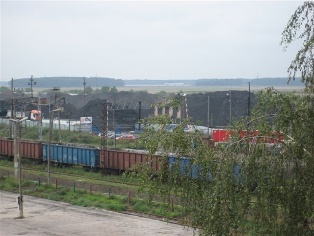 Skład węgla Zduny