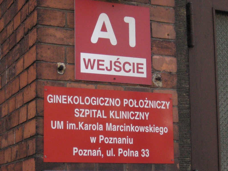 Aleksandra Włodarczyk