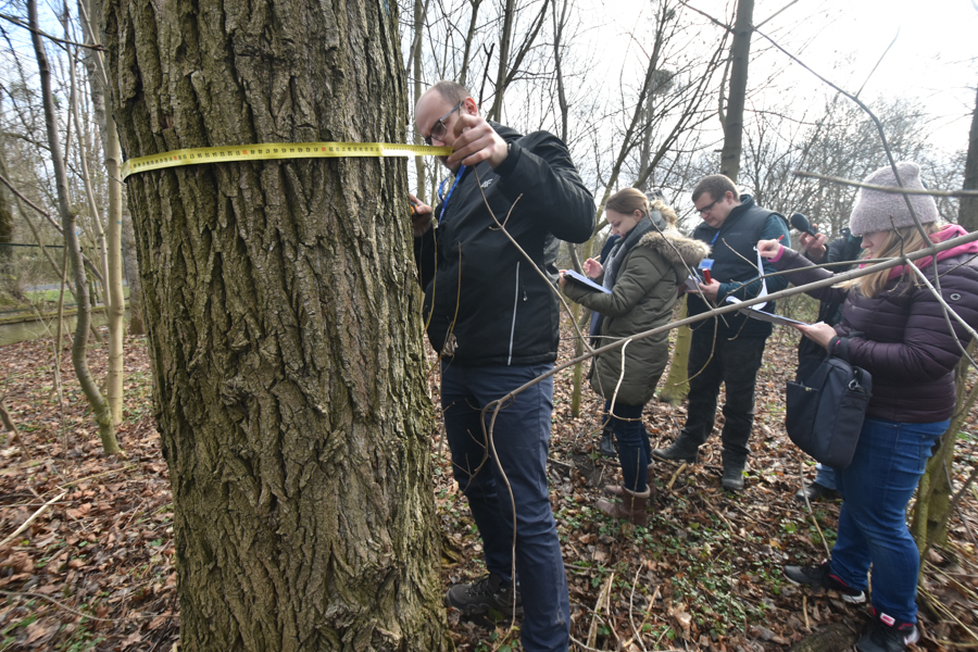 konsultacje drzewne łazarz basen park kasprowicza  - Wojtek Wardejn