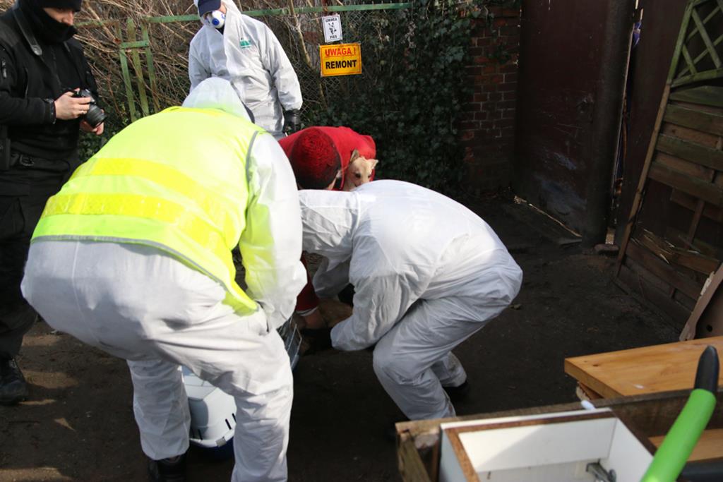 psy kicin - Leon Bielewicz