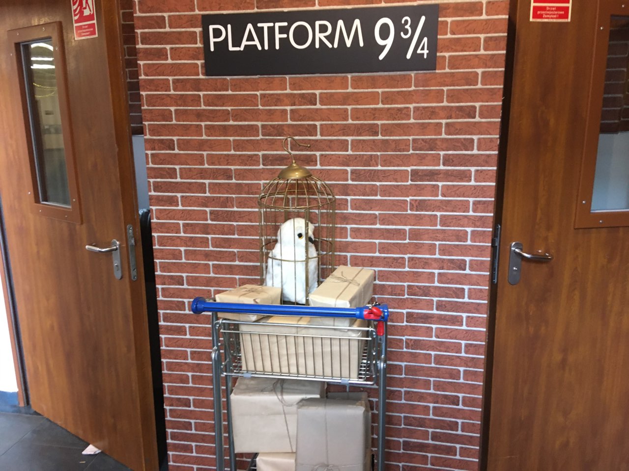 magiczna szkoła gniezno - Rafał Muniak