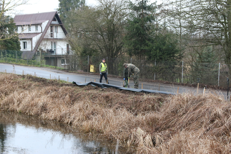 ratowanie żab żaby płazy Czerwonak - Leon Bielewicz - Radio Poznań