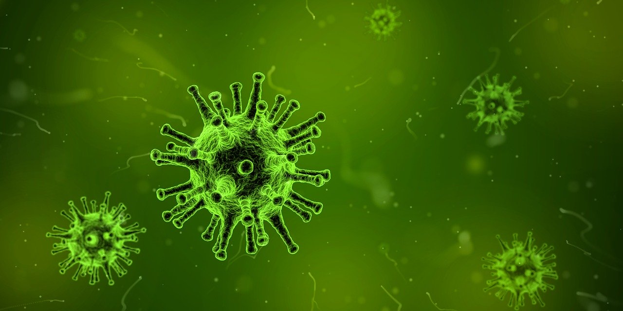 koronawirus wirus stock - Pixabay