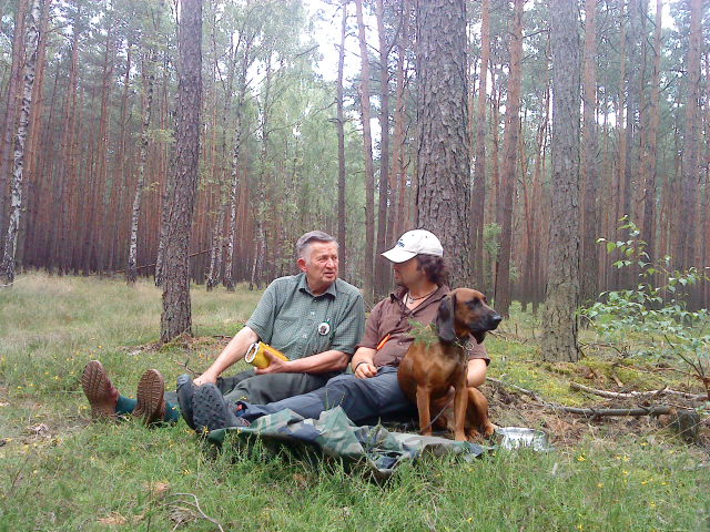 Posokowce i tropiące - Iwona Krzyżak