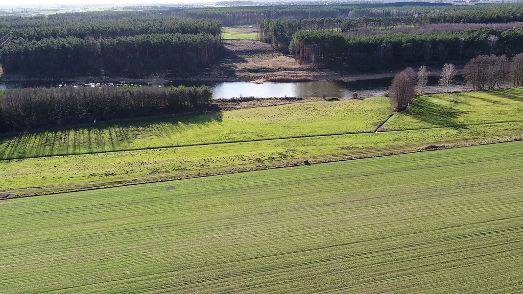 obwodnica wronek - Wielkopolski Zarząd Dróg Wojewódzkich w Poznaniu
