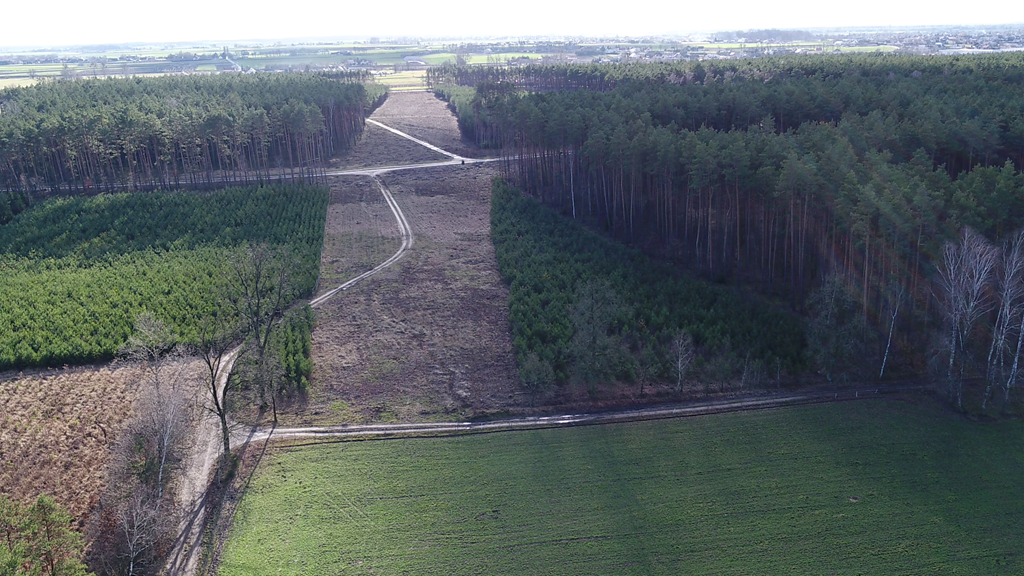Wielkopolski Zarząd Dróg Wojewódzkich w Poznaniu