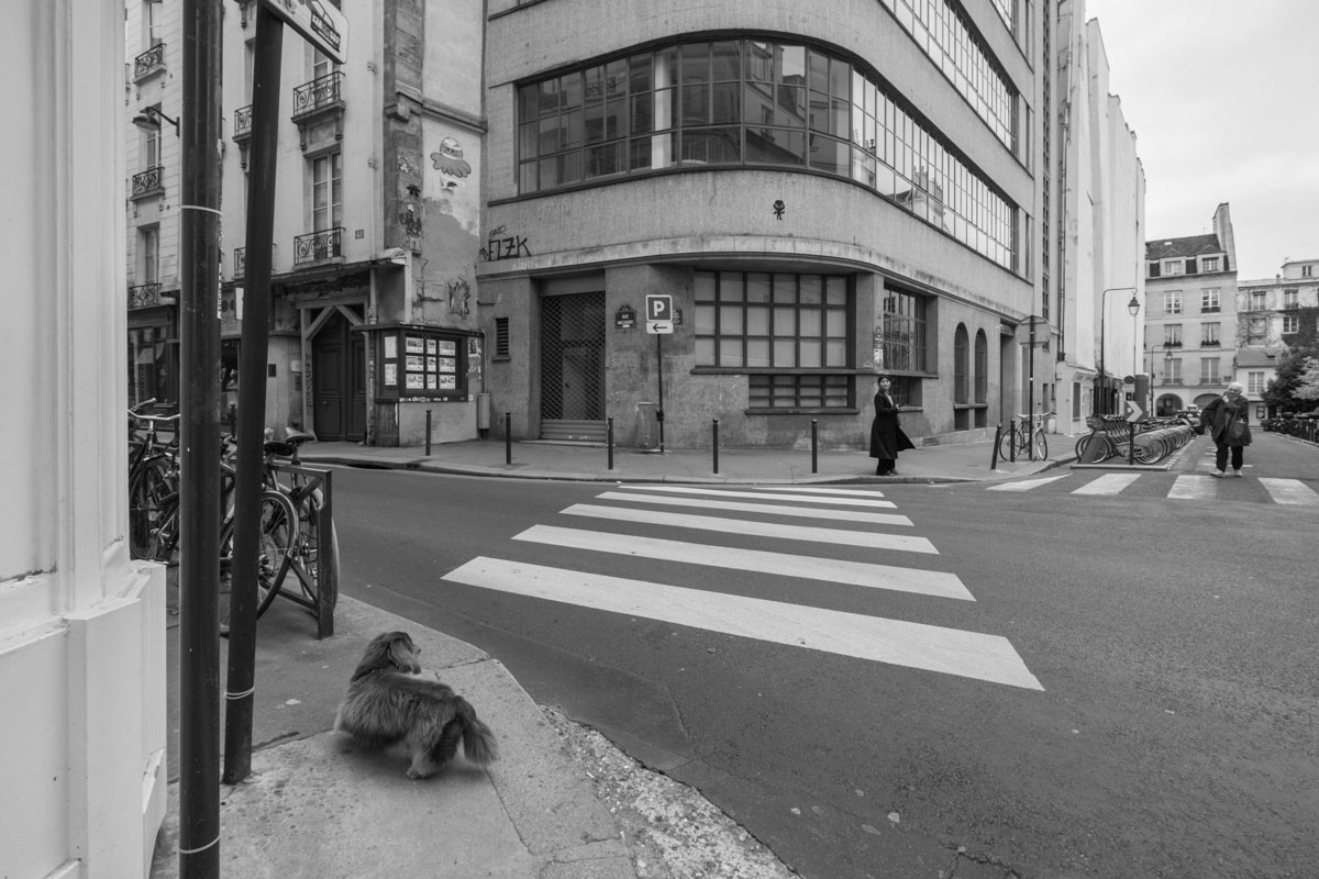 Justyna Andrzejewska