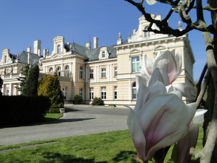 dps zimnowoda - DPS Zimnowoda