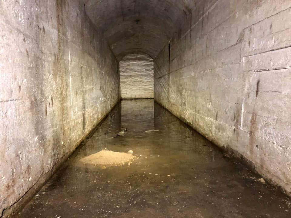 Poznańska Grupa Eksploracyjna