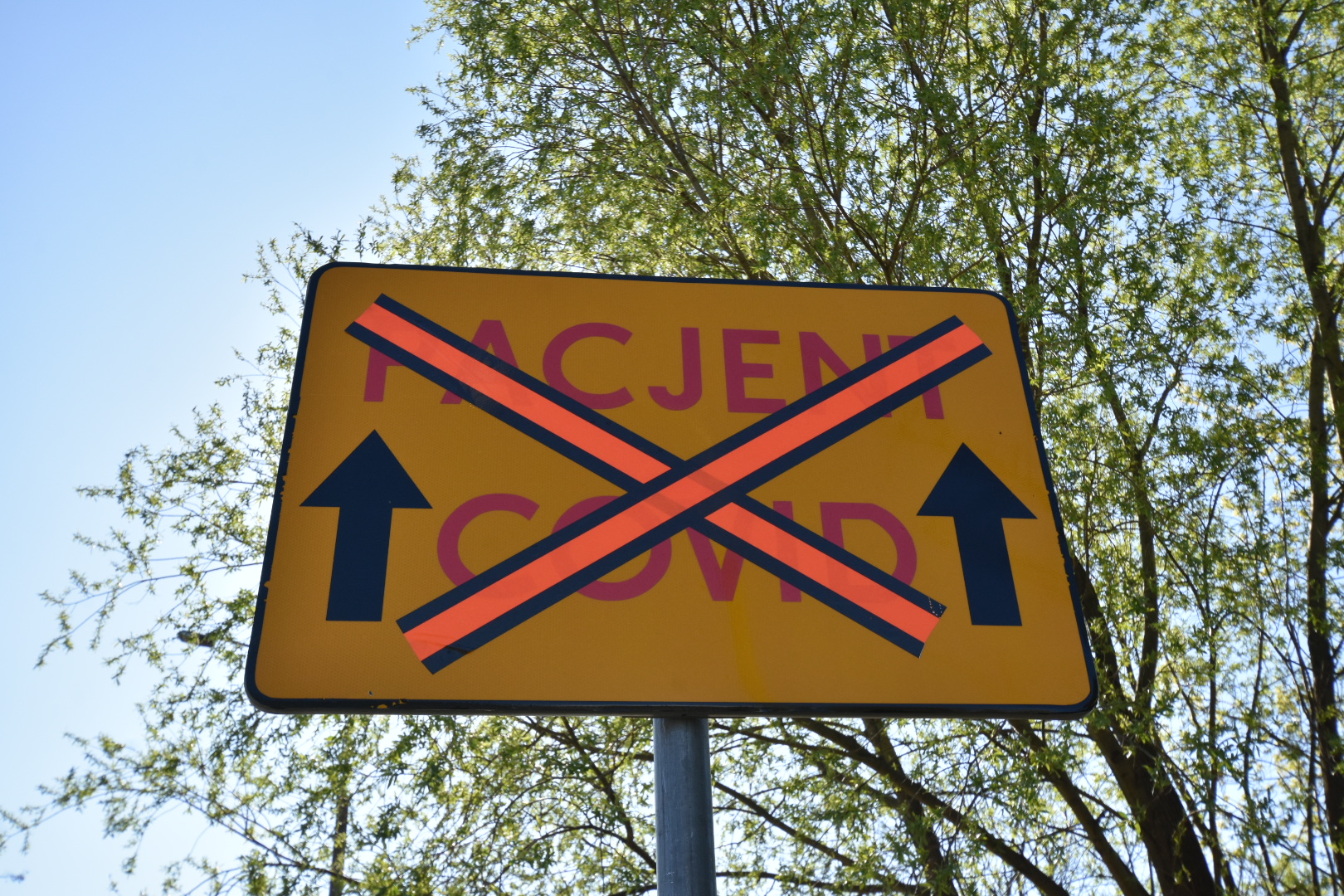 Szpital szwajcarska poznań zakaźny - Wojtek Wardejn