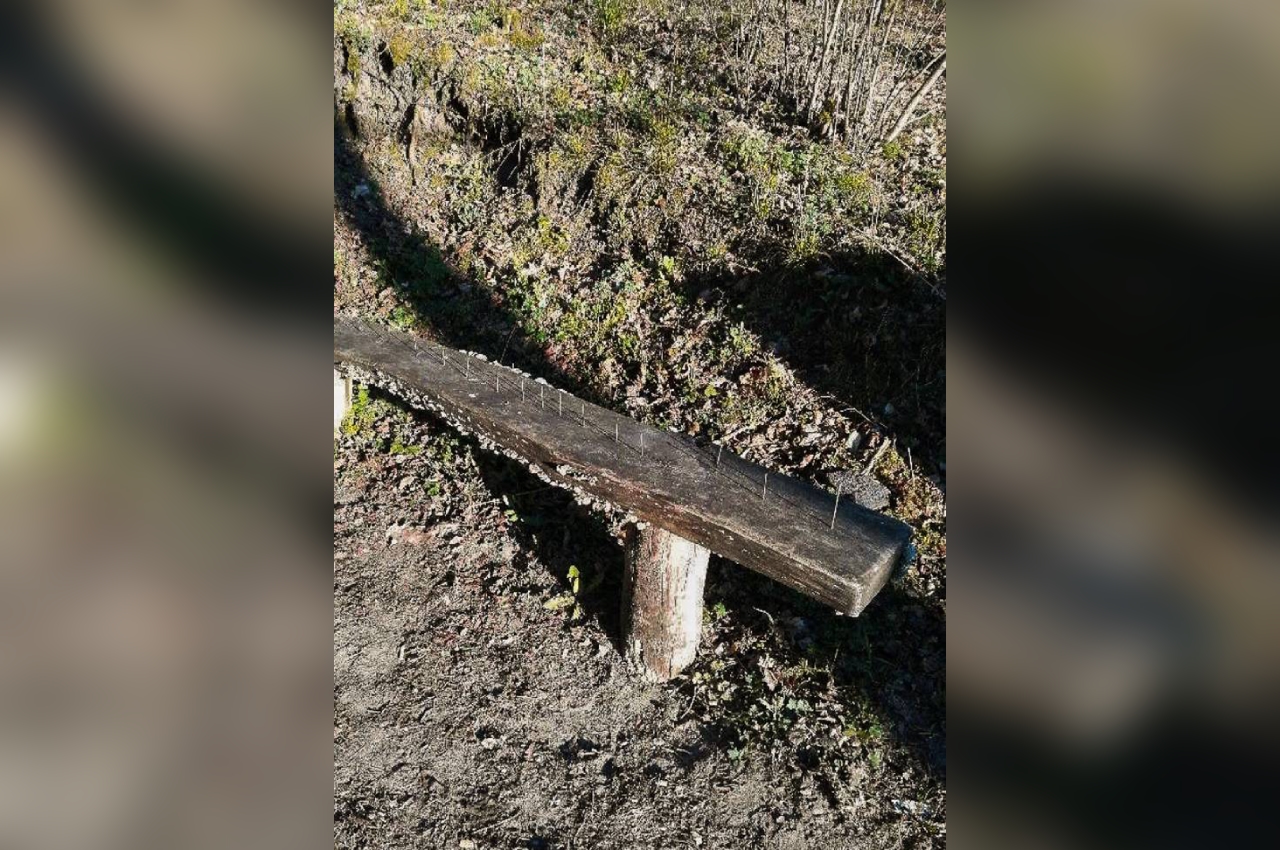 gwoździe ławka jastrowie - Nadleśnictwo Jastrowie