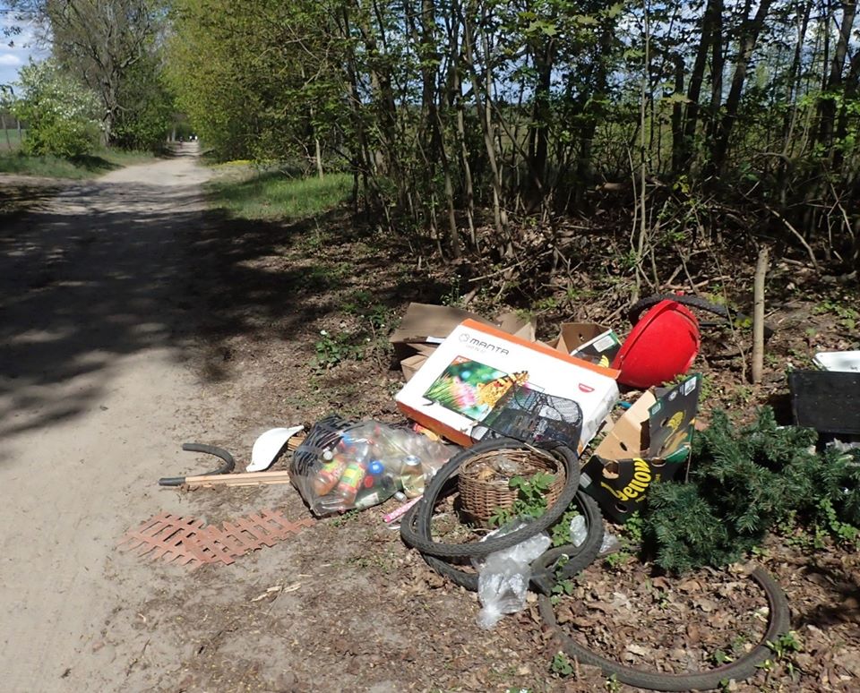 Śmieci  Wielkopolski Park Narodowy -  Wielkopolski Park Narodowy/Piotr Rubisz