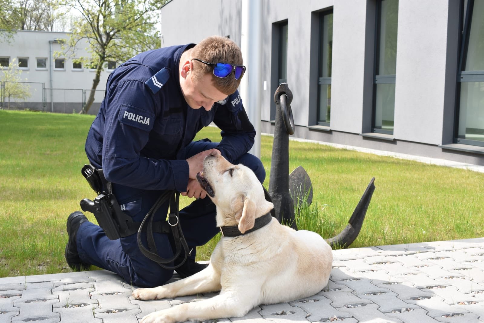 Maniek pies policyjny emerytura - Wielkopolska Policja