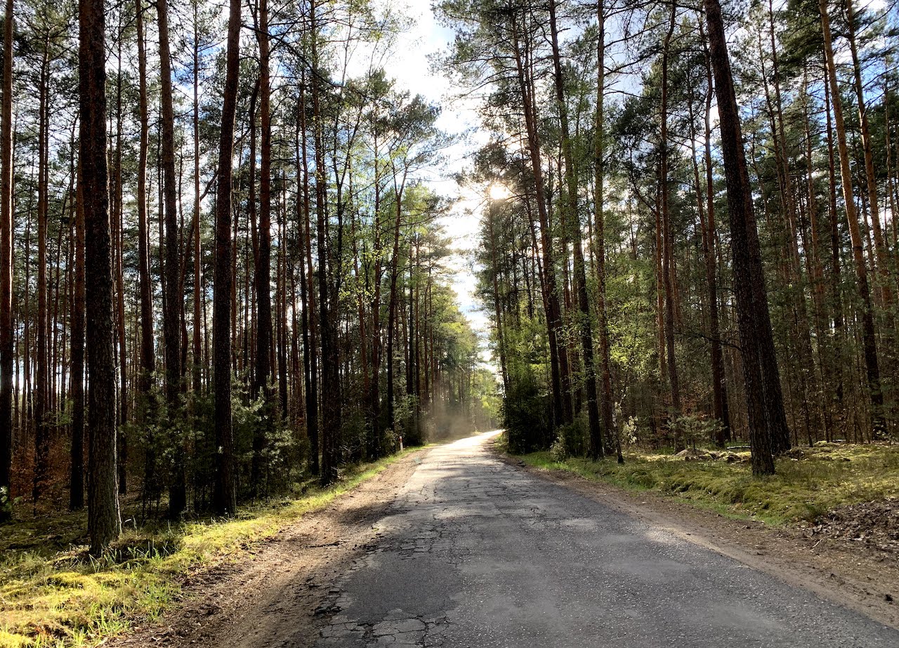 las droga wiosna - Kacper Witt - Radio Poznań