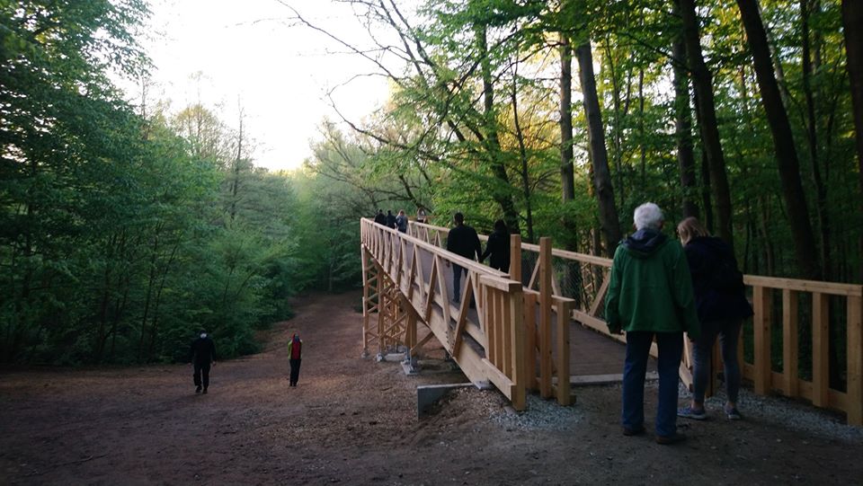 majówka ścieżka antoninek korony drzew - Straż Miejska Miasta Poznania