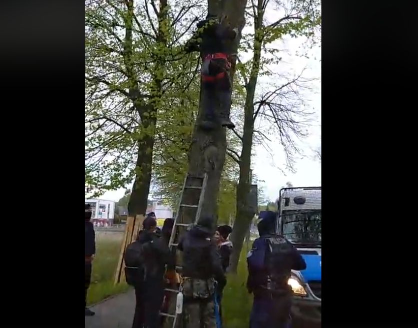 protest suchy las lipy - Zielona Fala