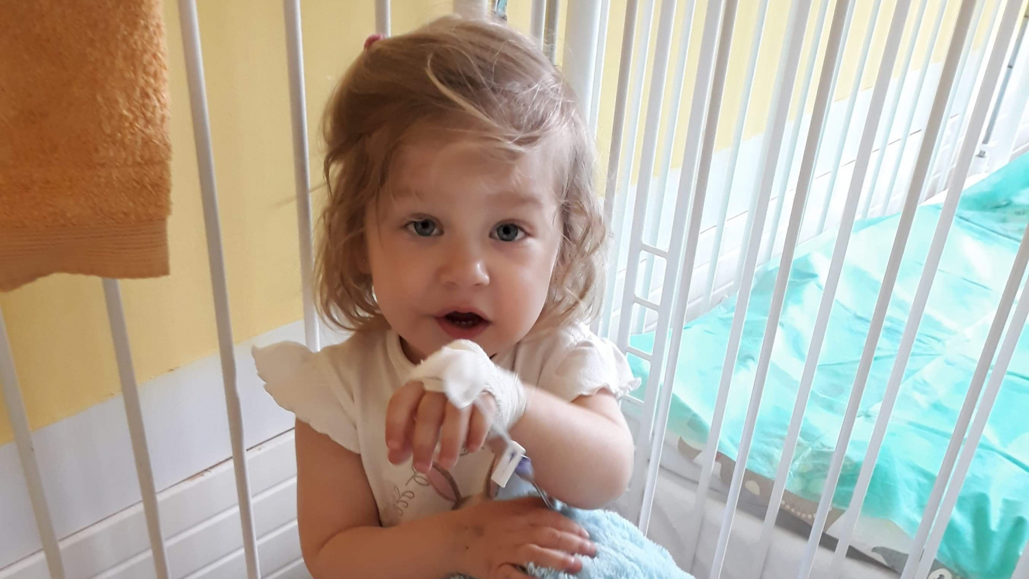 blanka kaniewska lubasz - zrzutka.pl