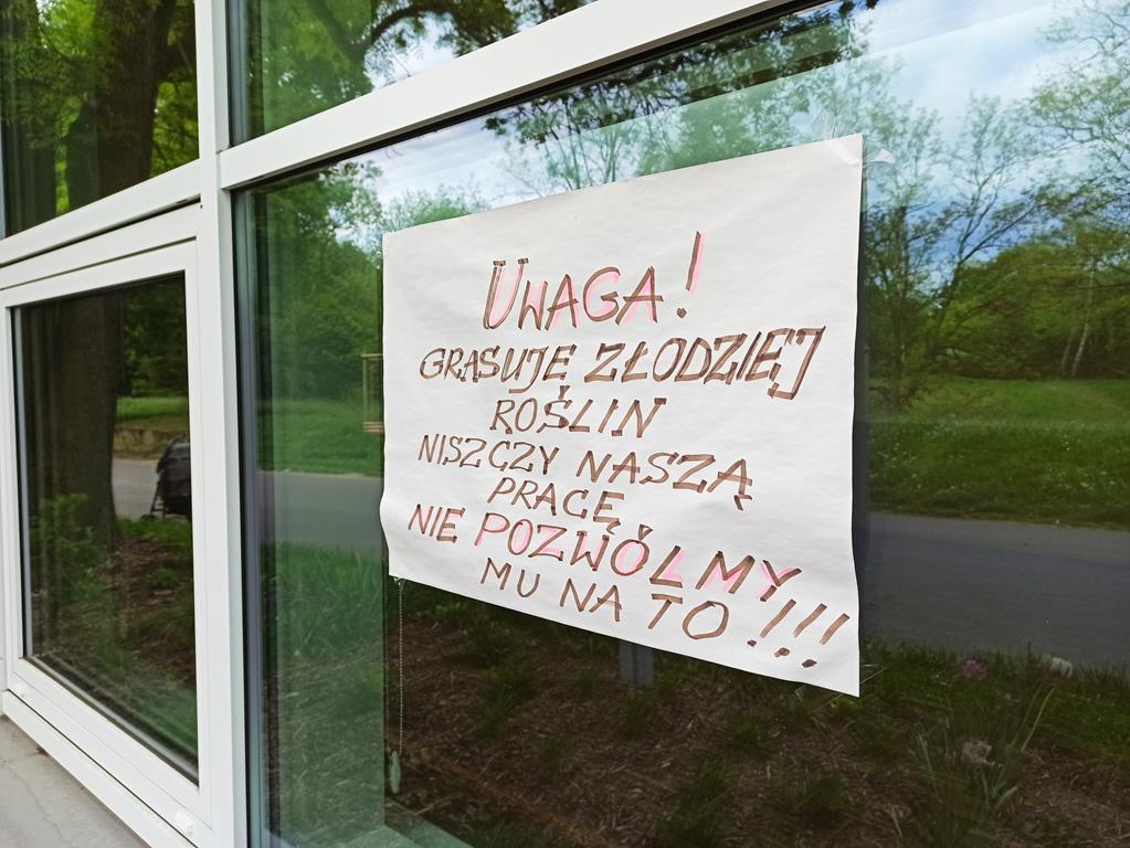 cytadela złodziej kwiatów - Bartosz Garczyński