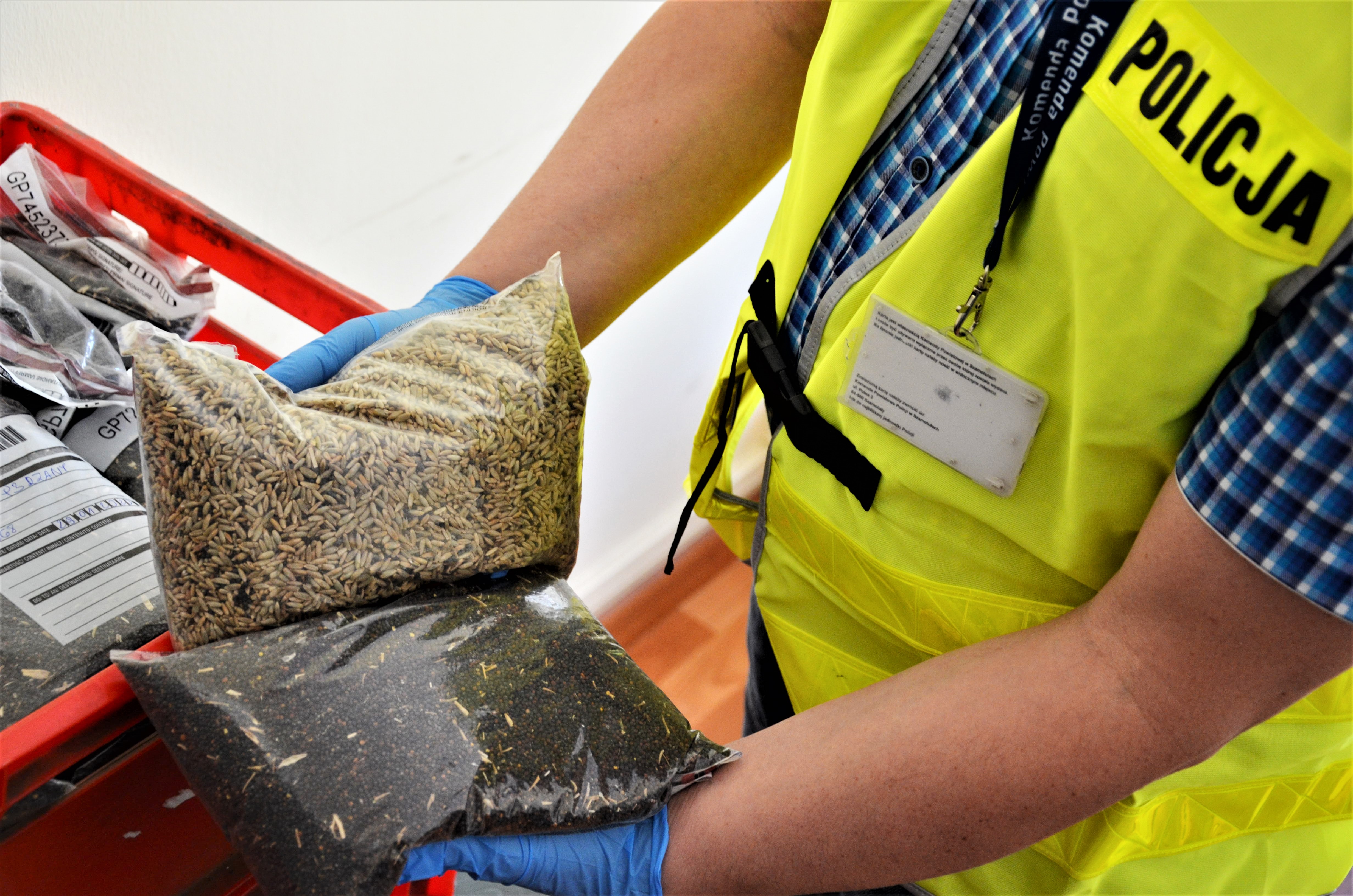 rzepak oszustwo szamotuły - KPP Szamotuły