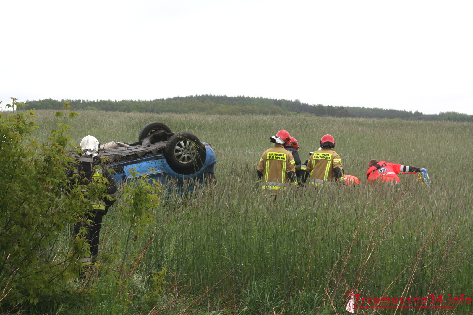 dachowanie wypadek trzemeszno - trzemeszno24.info