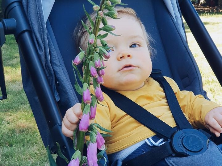 franek kępa pomoc sma - FB: Wojownik z SMA. Franek Kępa