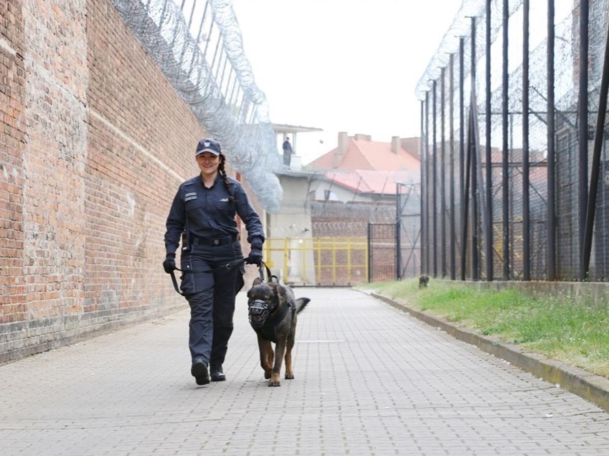 więzienie wronki - Zakład Karny we Wronkach