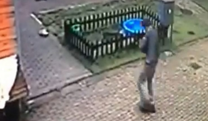 kradzież psa gufi - infoostrow.pl