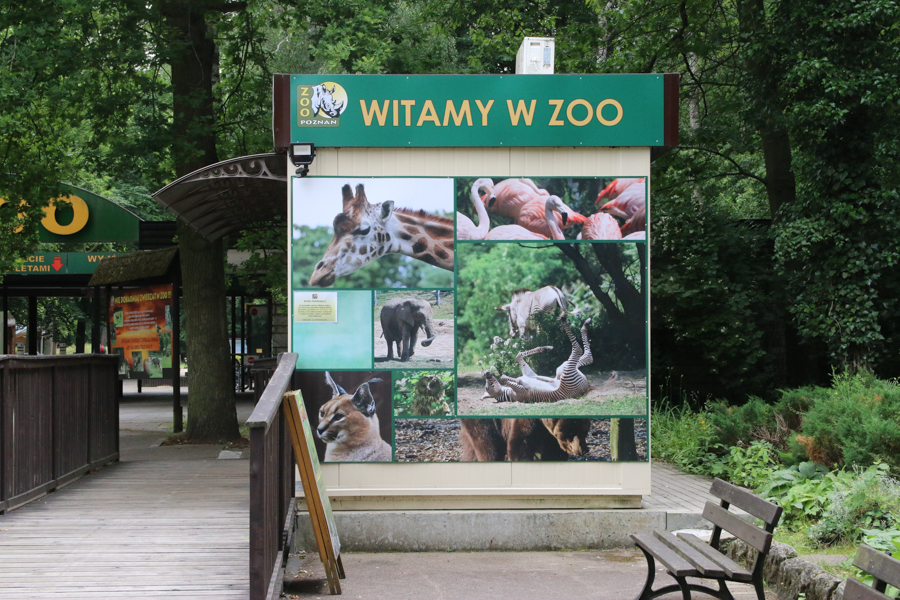 zoo poznań otwarcie - Leon Bielewicz - Radio Poznań