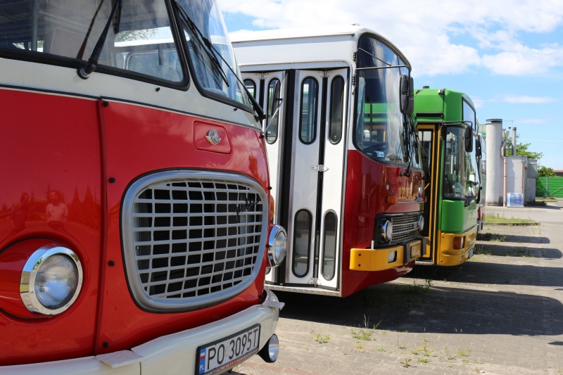 linie turystyczne poznań - MPK Poznań