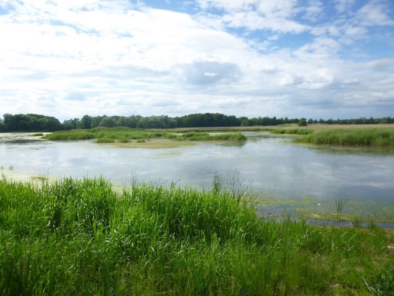barycz rzeka - UM Odolanów