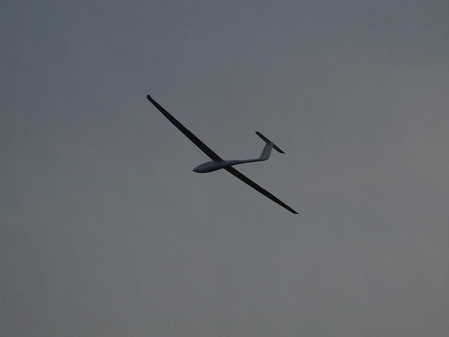 szybowiec na niebie -  Elsie esq. - CC Flickr.com