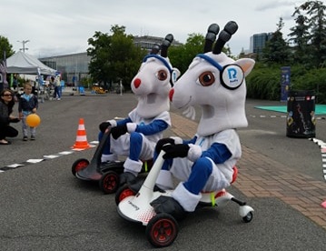 koziołki targi - Dawid Majchrzak