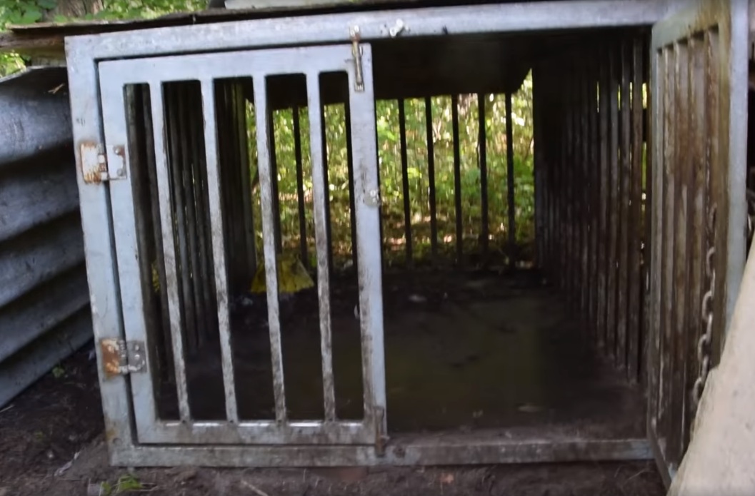 puma nubia klatka - ZOO Poznań