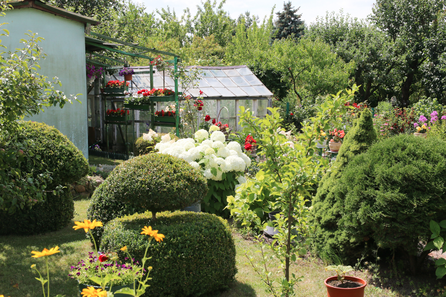 ogródki działkowe  - Leon Bielewicz