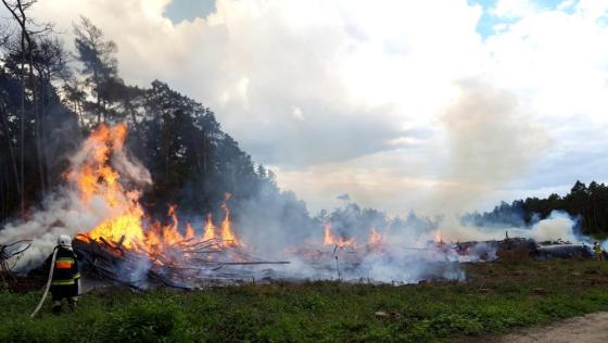 podpalacz konin pożar lasu - Nadleśnictwo Konin