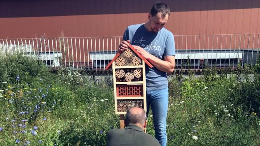 domek owady posum - POSUM