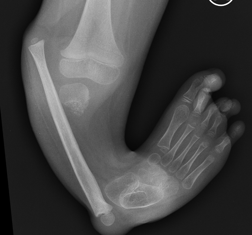 Szpital Kliniczny im. Wiktora Degi