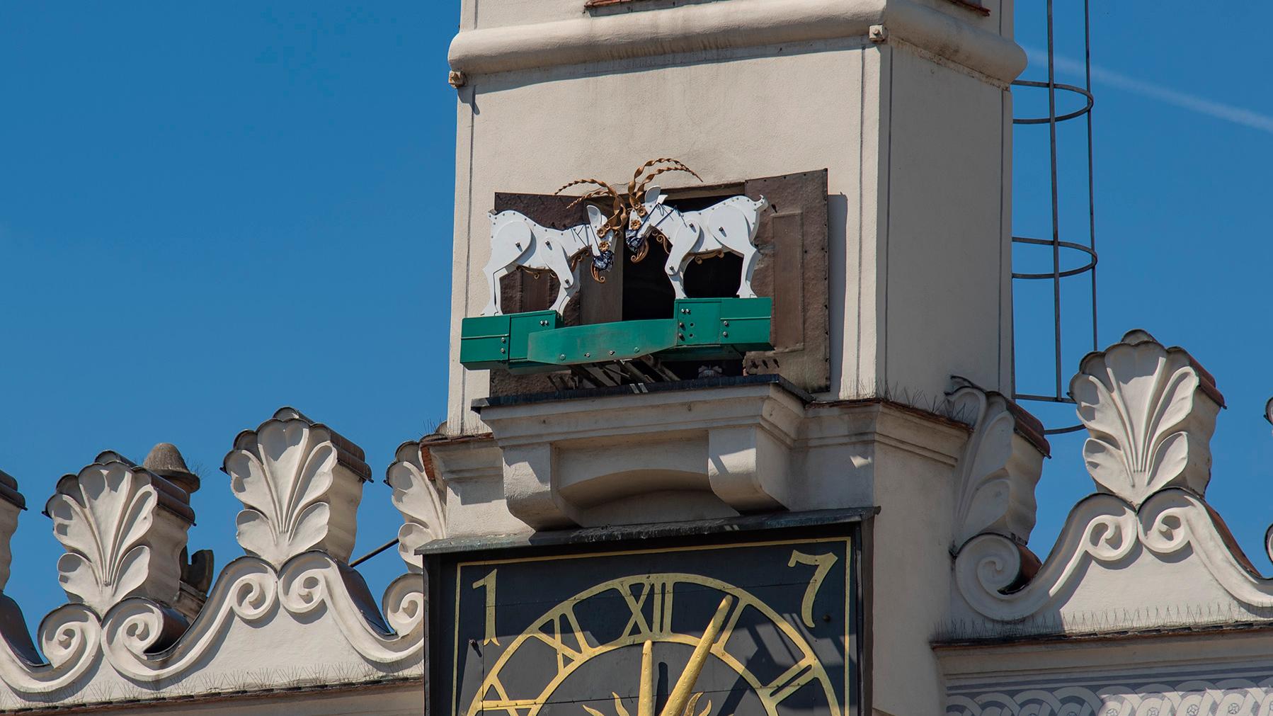 koziołki poznań maseczki - UMP