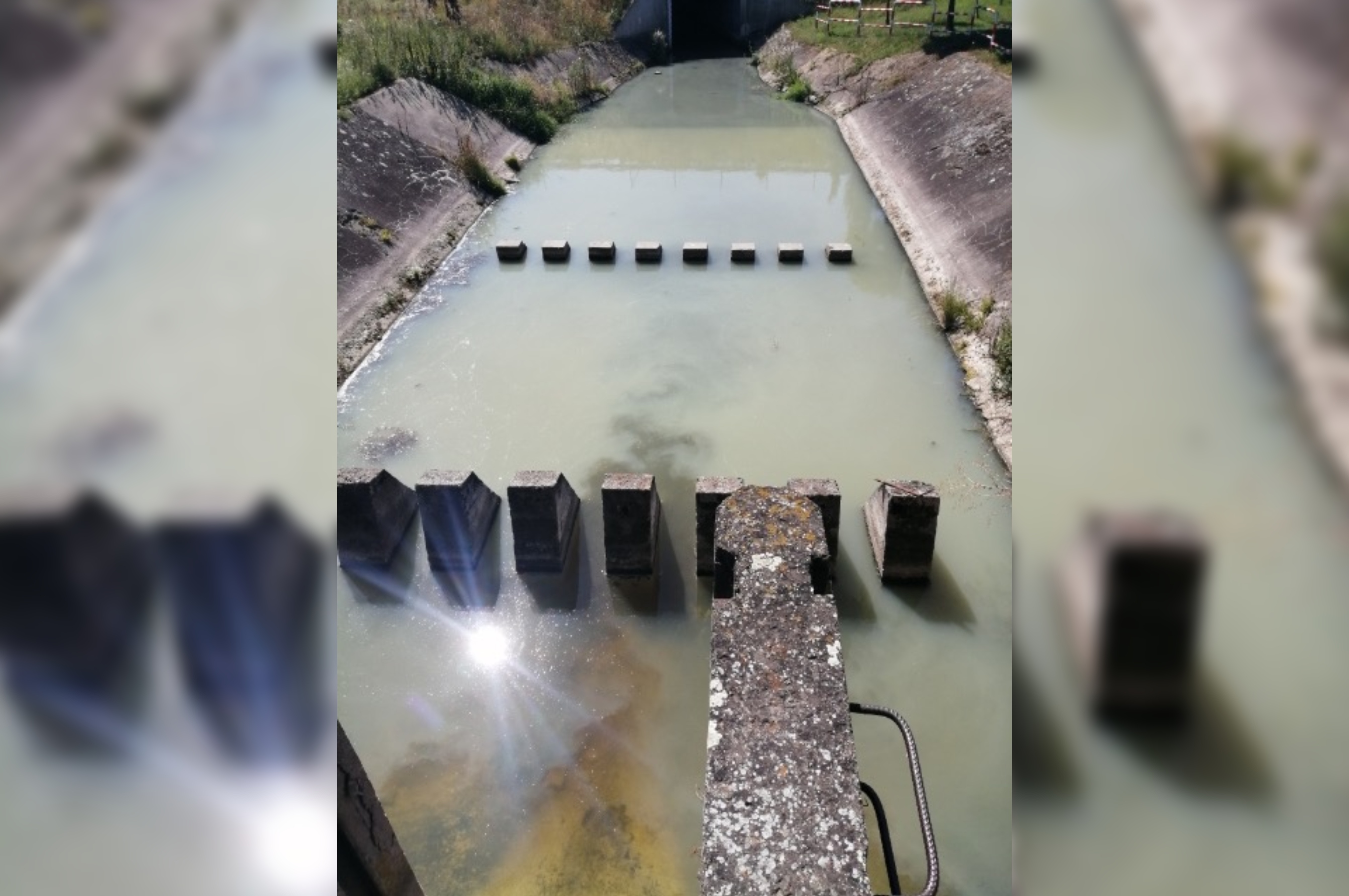 moskawa środa wielkopolska rzeka zatruta - Wojciech Baraniak