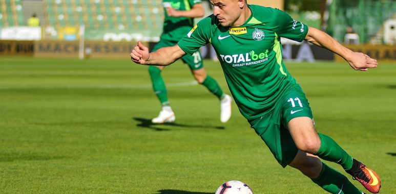 warta poznan - Warta Poznań