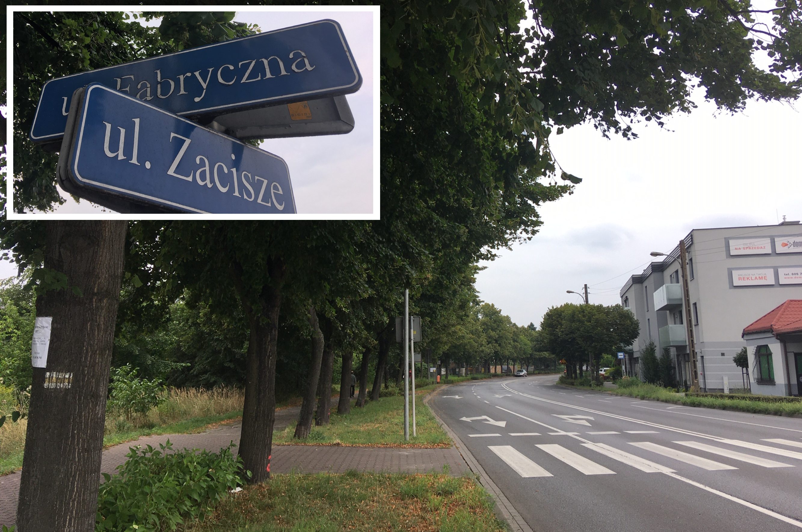 leszno drzewa wycinka fabryczna - Jacek Marciniak - Radio Poznań