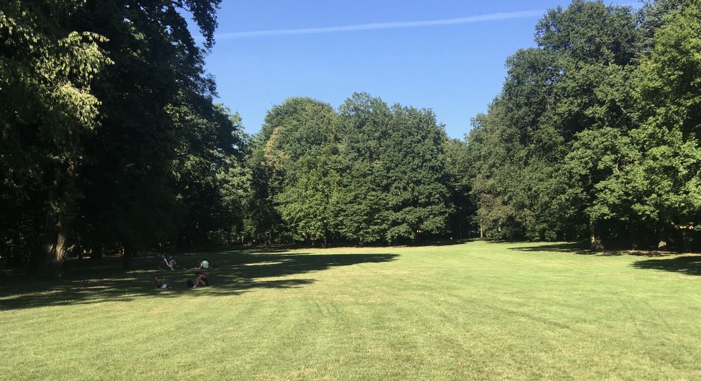 polana jarocin - Rafał Regulski