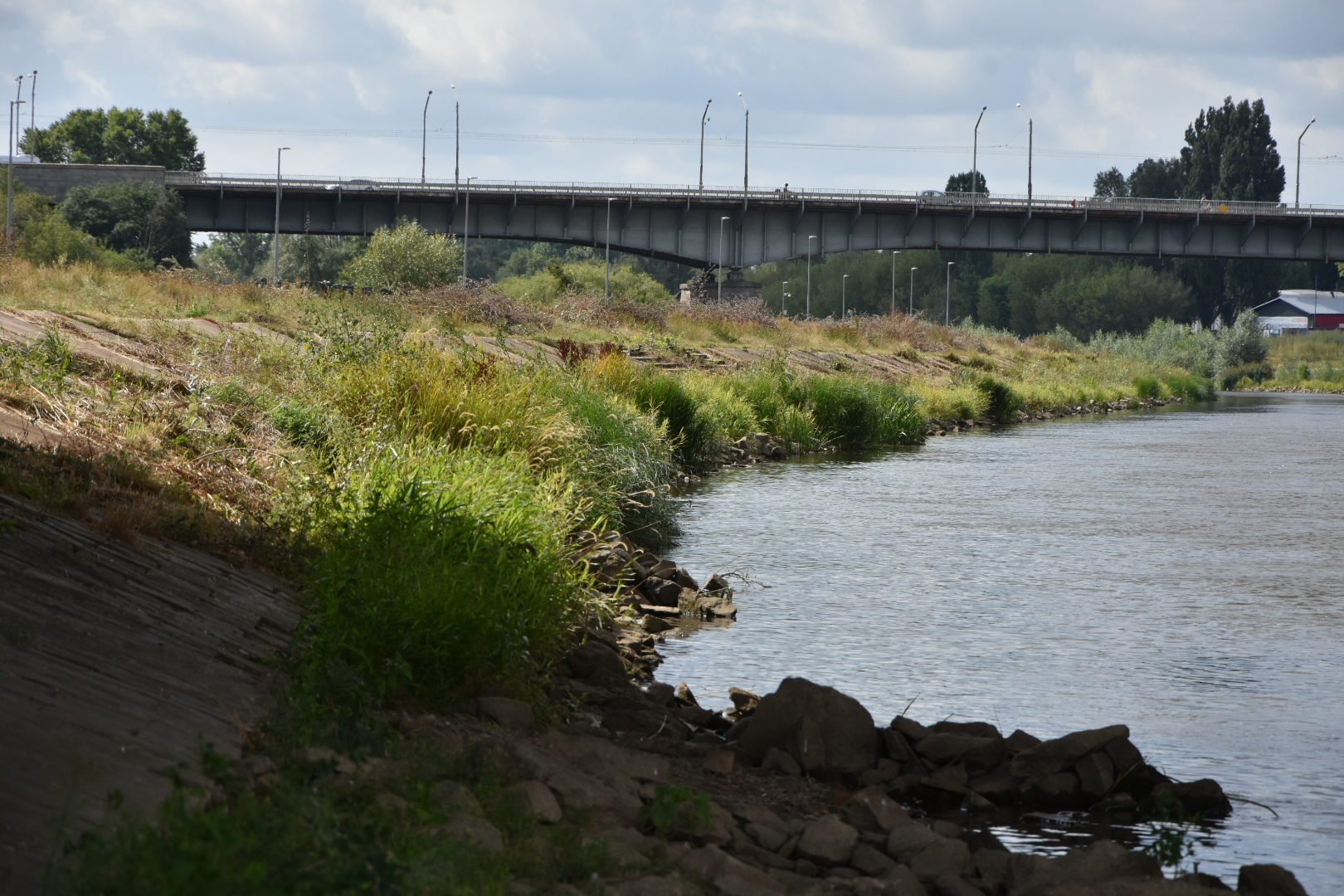 susza cybina i warta - Wojtek Wardejn