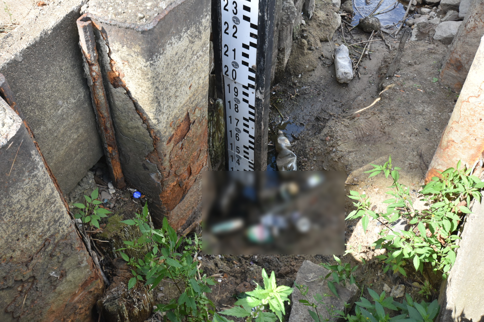 susza cybina i warta - Wojtek Wardejn