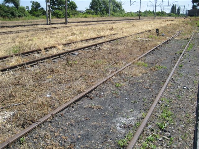 tory kolejowe - Wojciech Chmielewski