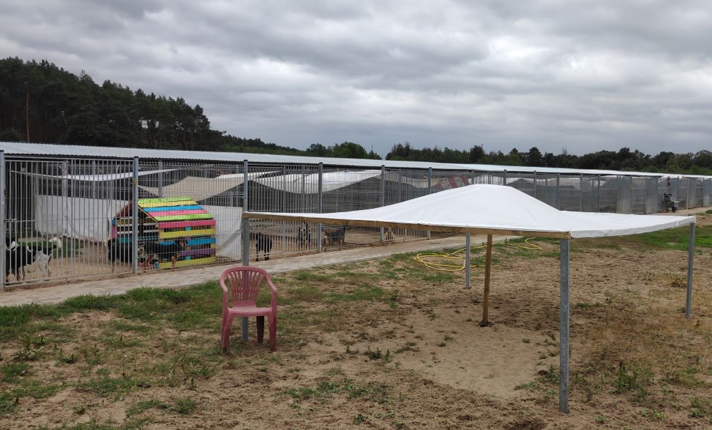 schronisko piła - Przemysław Stochaj