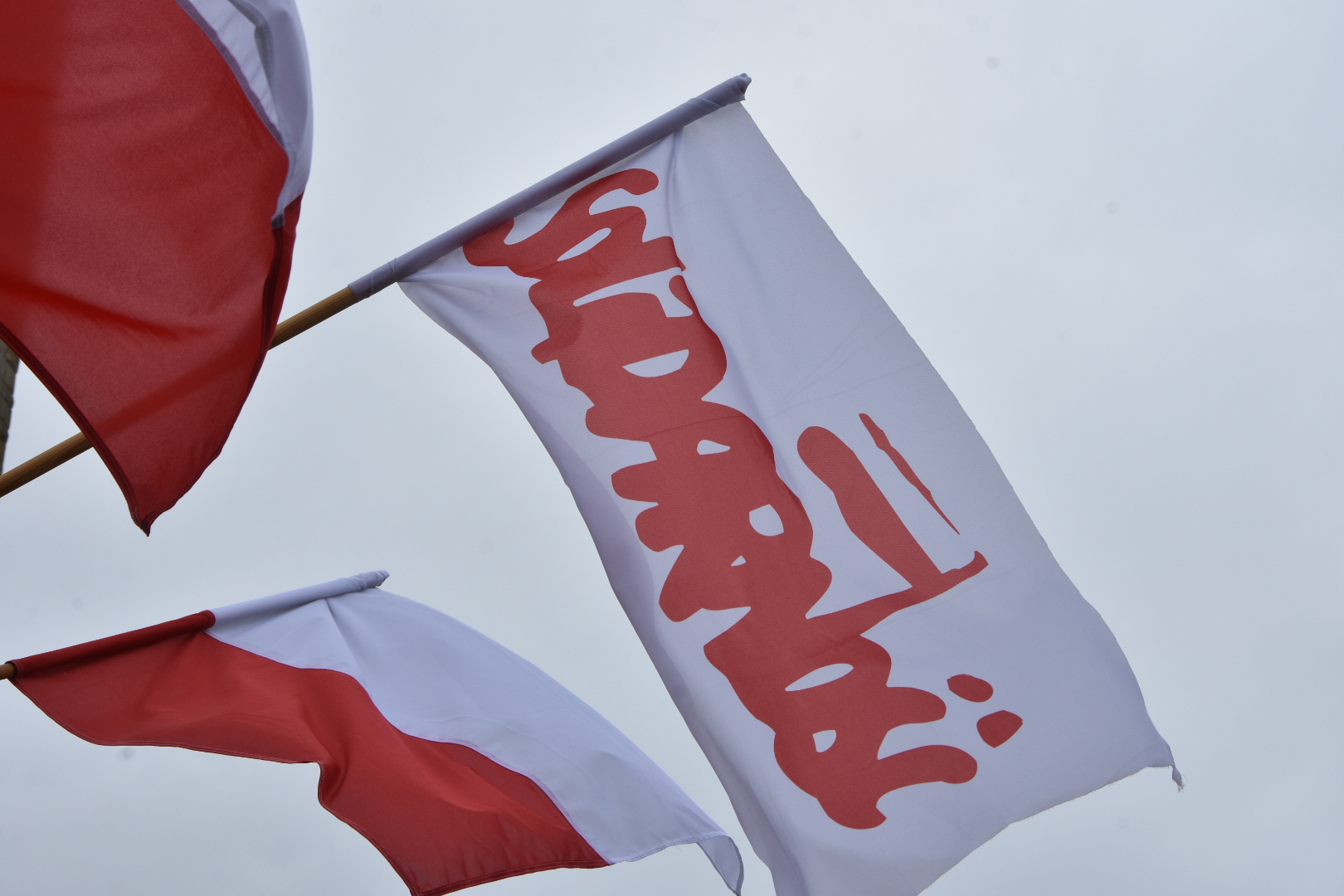 flaga solidarność - Wojtek Wardejn