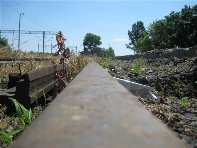 tory kolejowe 5 - Wojciech Chmielewski